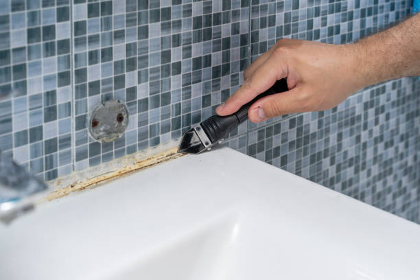 Best Black Mold Removal  in Mapleton, UT